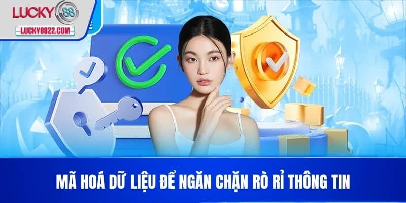 Mã hoá dữ liệu để ngăn chặn rò rỉ thông tin
